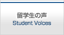 留学生の声 Student Voices